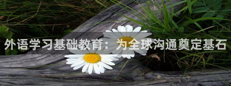 九游会j9
